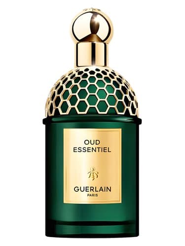 Oud Essentiel - عود اسنتیل
