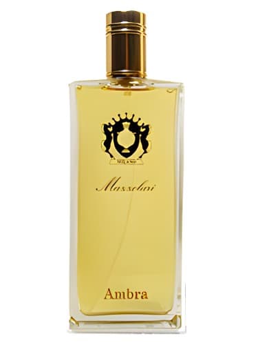 Ambra