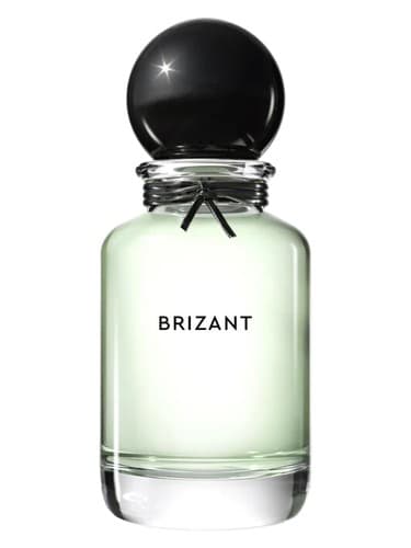 Brizant - بریزانت