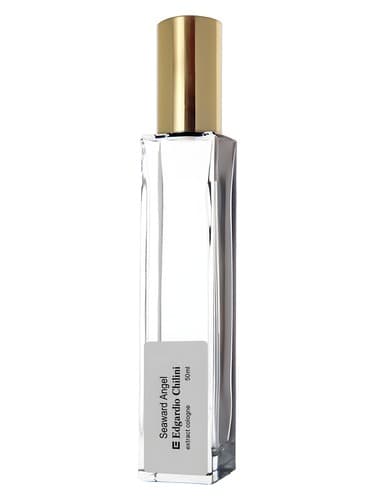 Seaward Angel - فرشته سی