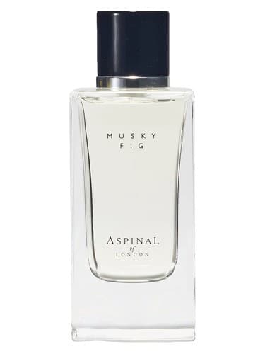 Musky Fig - انجیر بلک