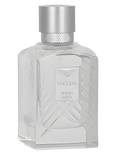Orient Gold - طلای شرقی
