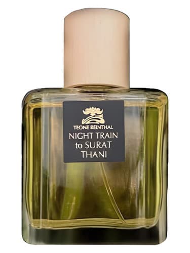 Night Train to Surat Thani - قطار شبانه به سوره ثانی