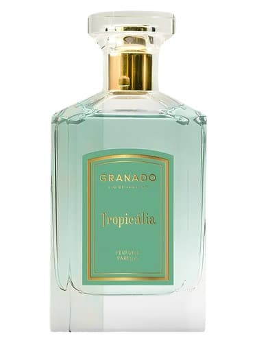 Tropicália - تروپیکالیا