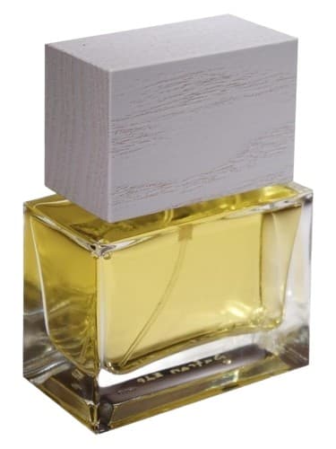 Rose N°7 - گل رز شماره 7