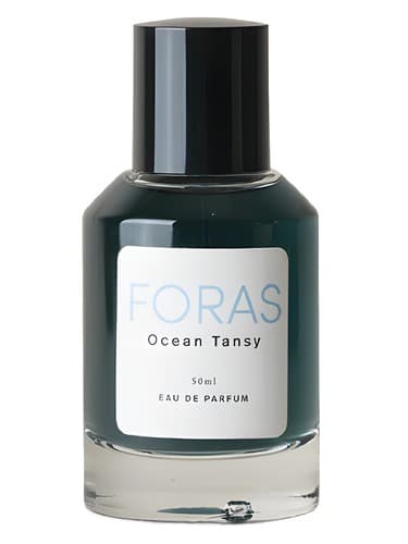 Ocean Tansy - اوشن تانسی