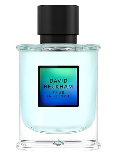 David Beckham True Instinct - غریزه واقعی دیوید بکهام