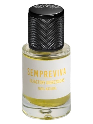 Sempreviva 