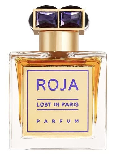 Lost In Paris - گمشده در پاریس
