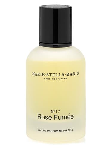 Rose Fumée No.17 - گل رز شماره 17