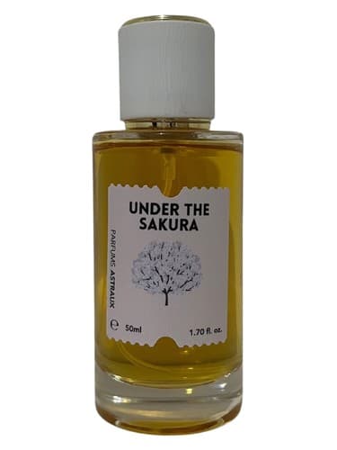 Under the Sakura - زیر ساکورا
