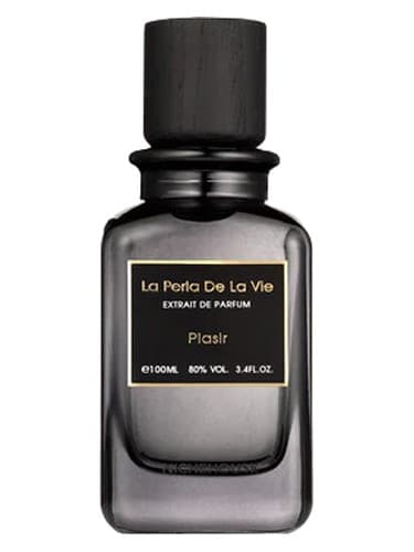 Plasir - پلاسیر