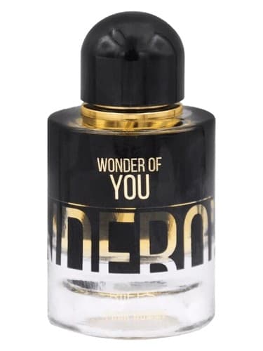 Wonder of You Men
