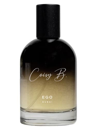 Ego - ایگو