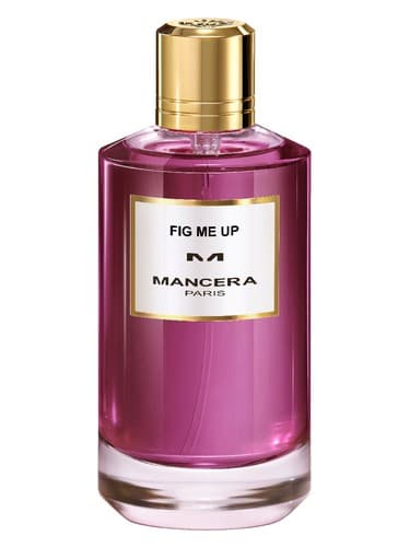 Fig Me Up - انجیر من بالا