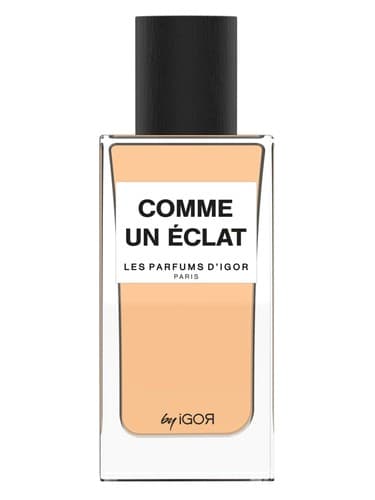 Comme Un Eclat 