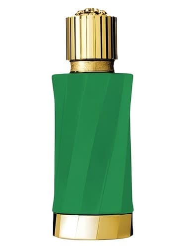 Patchouli Précieux - پچولی پرسیو