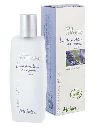 Wild Lavender