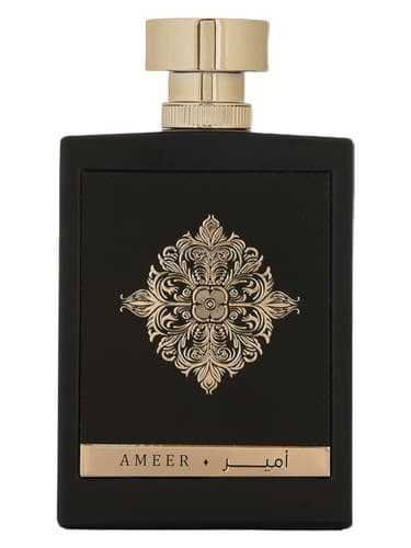 Ameer - عامر