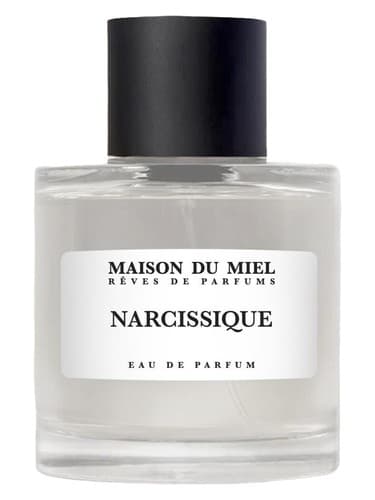 Narcissique - نارسیسیک