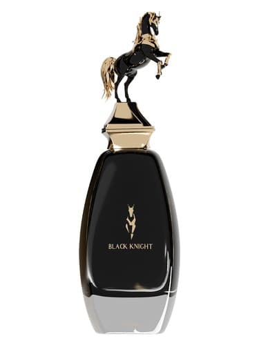 Black Knight - شوالیه بلک