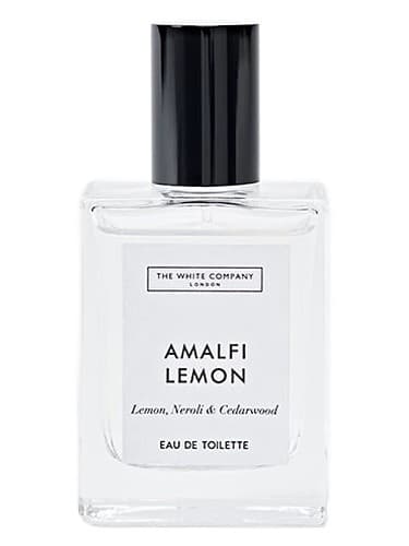 Amalfi Lemon - لمون آمالفی