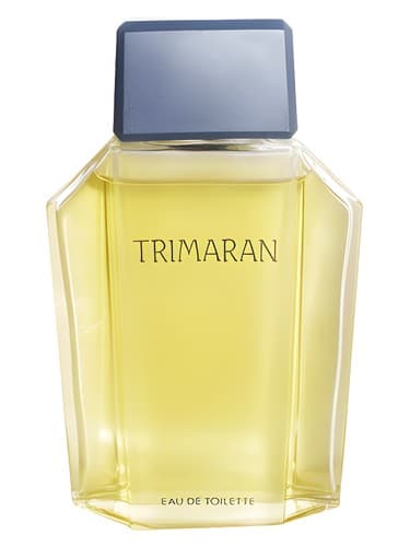 Trimaran 1986 - تریماران 1986