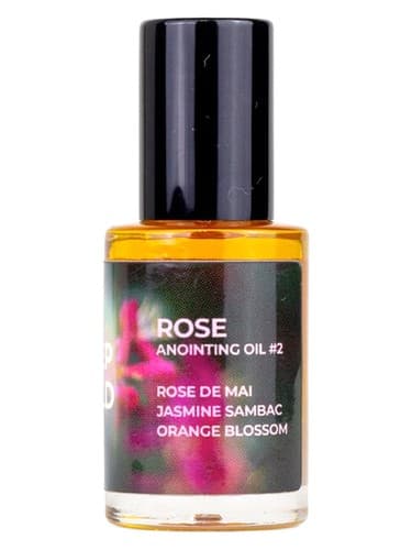 Rose no.2