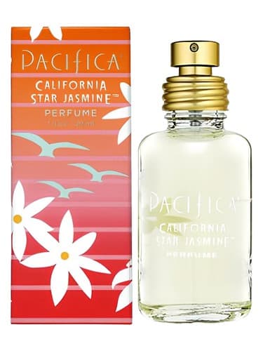 California Star Jasmine - یاسمین استار کالیفرنیا
