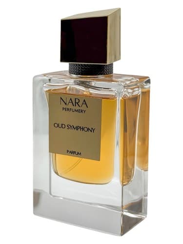 Oud Symphony - سمفونی عود