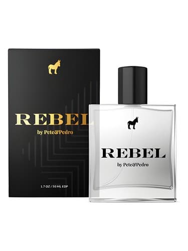 Rebel - شورشی