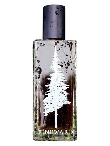 Juniperus - ارس