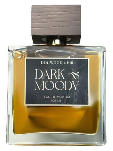 Dark & Moody