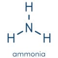 Ammonia