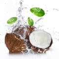Coconut Water