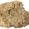 Coral Limestone