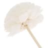 Litchi Blossom