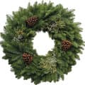 Fresh Evergreen
