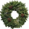 Fresh Evergreen