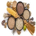 Grains