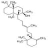 Ambreine