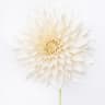 White Dahlia