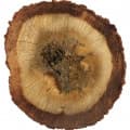 Malaysian Oud