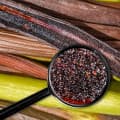 Vanilla Caviar
