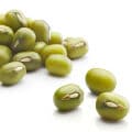 Mung Bean