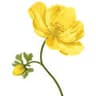 Jarana Flower