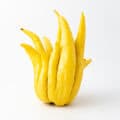 Buddha's hand