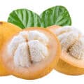 Santol