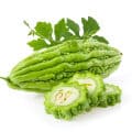 Bitter melon