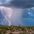 Desert Rain Accord